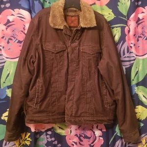 American eagle winter coat